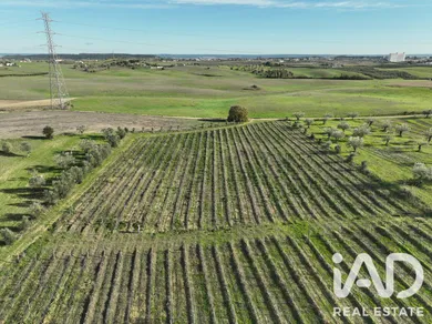 Quinta agrícola em São Vicente do Paul