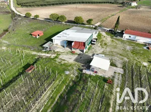 Quinta agrícola em São Vicente do Paul