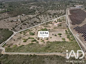 Farm  in BENSAFRIM