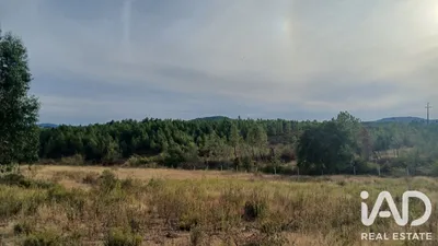 Fotografia 4 de Terreno de 4250 m² em Montes da Senhora