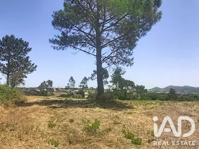 Terreno urbano em Mafra