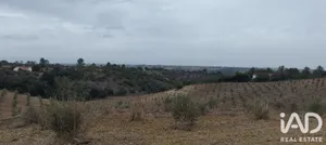 Terreno rústico em Romeira