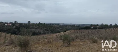 Terreno rústico em Romeira