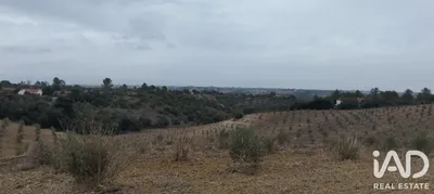 Fotografia 5 de Terreno de 3775 m² em Santarém (Marvila), Santa Iria Da Ribeira De Santarém, Santarém (São Salvador) E Santarém (São Nicolau)