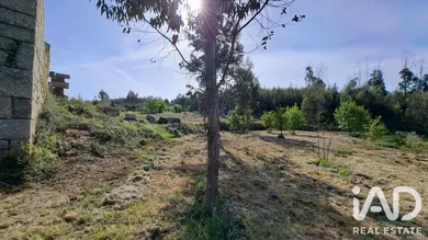 Quinta rural  em Lajeosa