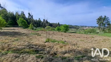 Quinta rural  em Lajeosa