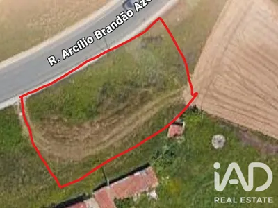 Fotografia 6 de Terreno de 8130 m² em Loureiro