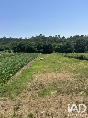 Terreno misto  em Oliveira de Azeméis