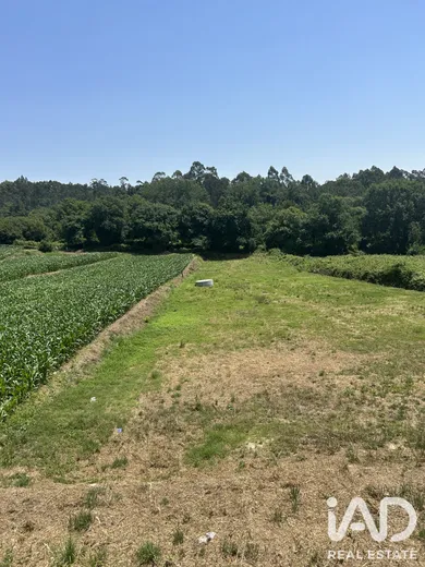 Mixed land in Oliveira de Azeméis