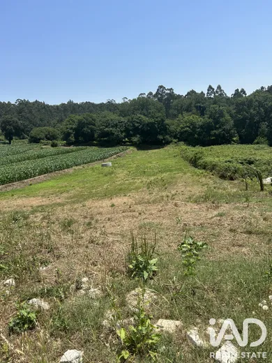 Mixed land in Oliveira de Azeméis