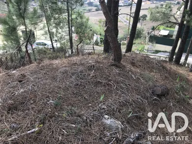 Terreno urbano  em Caneças