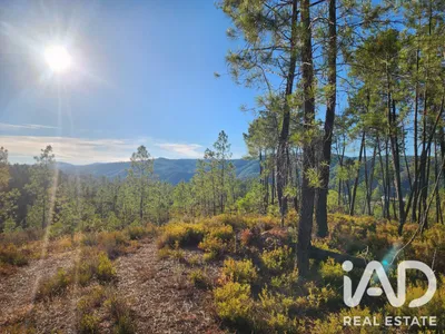 Fotografia 4 de Terreno de 9500 m² em Cebolais de Cima e Retaxo