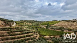 Quinta agrícola  em Cedovim