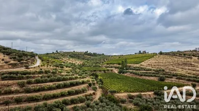 Quinta agrícola em Cedovim