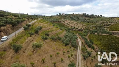 Fotografia 3 de Quinta agrícola de 94 323 m² em Cedovim
