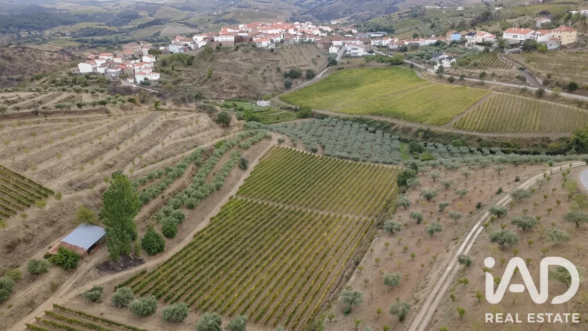 Quinta agrícola de 94 323 m² em Cedovim