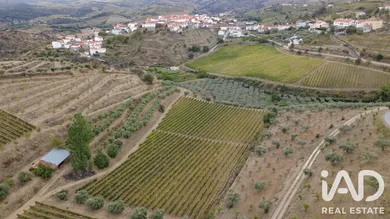 Quinta agrícola em Cedovim