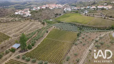 Fotografia 4 de Quinta agrícola 1 quarto de 54 000 m² em Cedovim