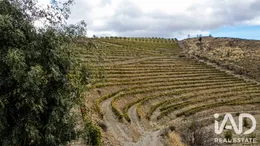 Quinta agrícola em Cedovim