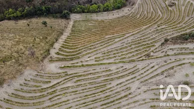 Quinta agrícola  em Cedovim