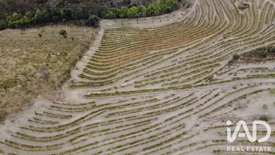 Fotografia 3 de Quinta agrícola 1 quarto de 54 000 m² em Cedovim