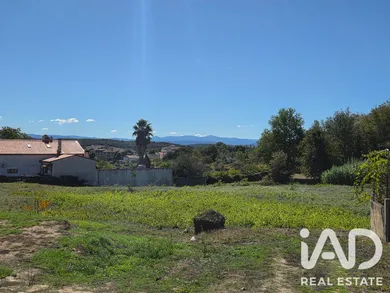 Terreno urbano em Santa Comba Dão
