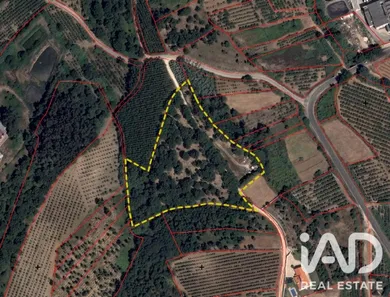 Terreno  em Cadaval