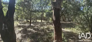 Terreno  em Cadaval