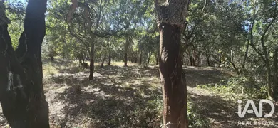 Terreno  em Cadaval