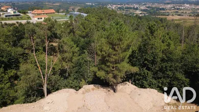 Terreno urbano  em Seia