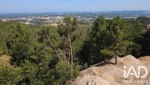 Terreno urbano  em Seia