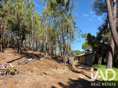 Terrain agricole à Mação