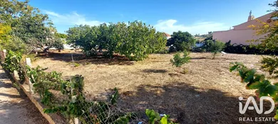 Terreno  em Algoz