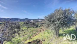 Terrain mixte à São Marcos da Serra