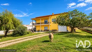 Quinta  em Santo Isidoro