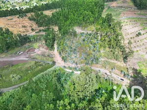 Farm land  in Campanário