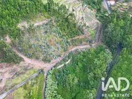 Farm land  in Campanário