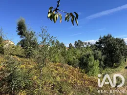 Terrain agricole à Graca