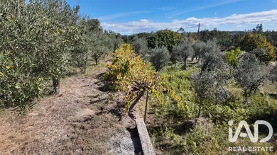 Terreno misto  em Graça