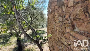 Terreno misto em Graça
