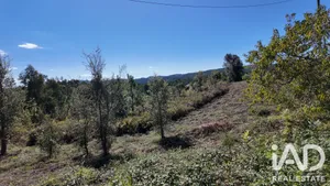Terrain agricole   à Graca