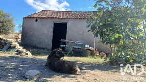 Terrain agricole à São Domingos