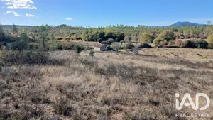 Terrain agricole à São Domingos