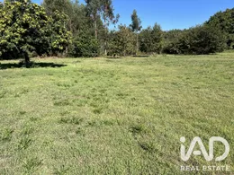 Building plot in Serrazes