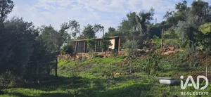 Farm land in Boliqueime