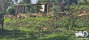 Farm land in Boliqueime
