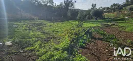 Farm land  in Boliqueime