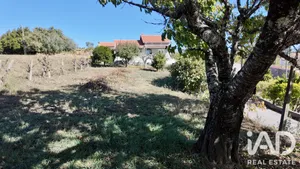 Moradia em Figueiró Dos Vinhos