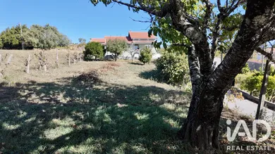 Moradia em Figueiró Dos Vinhos