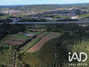 Farm land  in Alfena
